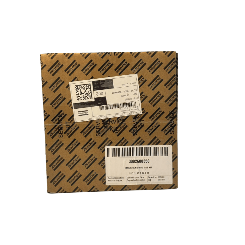Original 3002600350 Atlas Copco Motor Non Drive Side Kit för oljeinjicerade skruvkompressorer